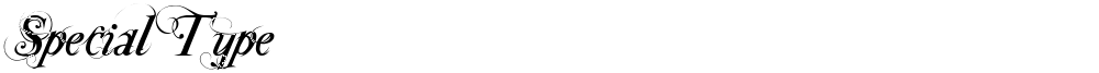 Special Type