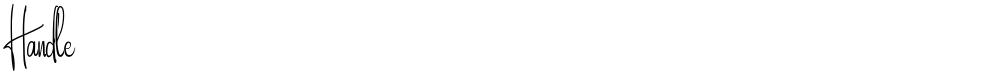 Handle