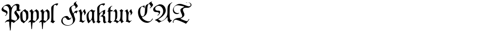 Poppl Fraktur CAT