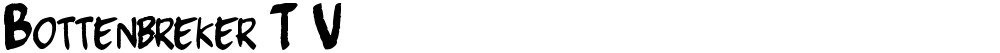 Bottenbreker T.V.