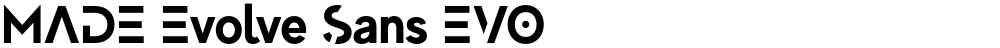 MADE Evolve Sans EVO