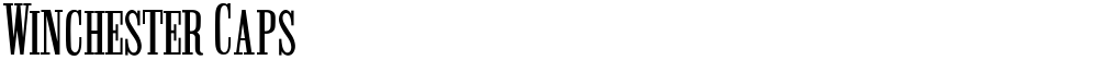 Winchester Caps