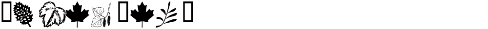 wmleaves1