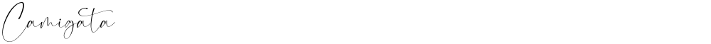 Camigata