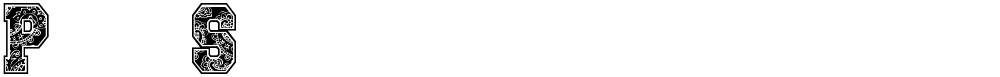 Paysley Sports