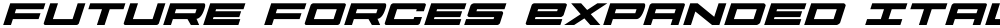 Future Forces Expanded Italic