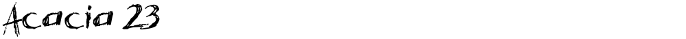 Acacia 23
