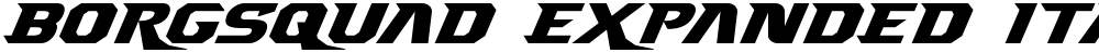 Borgsquad Expanded Italic