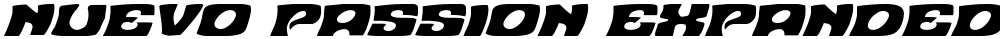 Nuevo Passion Expanded Italic