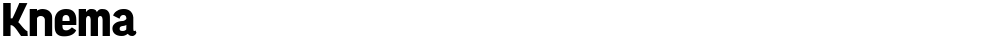 Knema