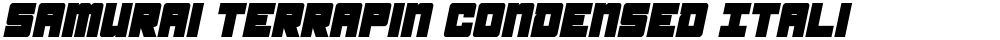 Samurai Terrapin Condensed Italic