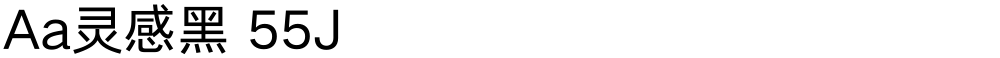 Aa灵感黑 55J