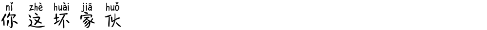 你这坏家伙