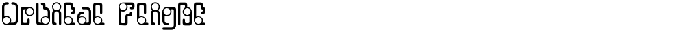 Orbital Flight