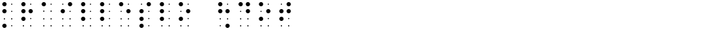 BrailleSlo 8dot