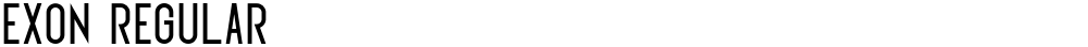 Exon regular