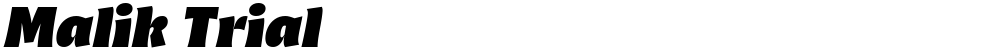 Malik Trial