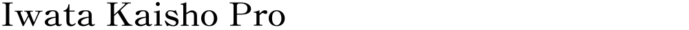 Iwata Kaisho Pro