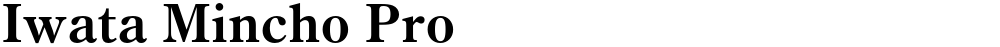 Iwata Mincho Pro