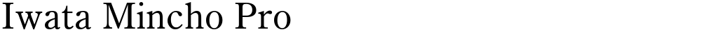 Iwata Mincho Pro
