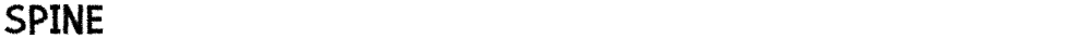 Spine