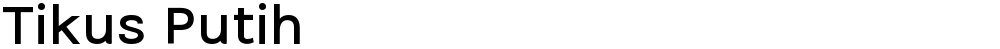 Tikus Putih