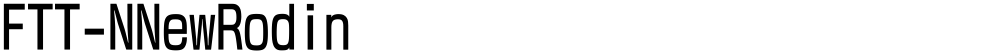 FTT-NNewRodin