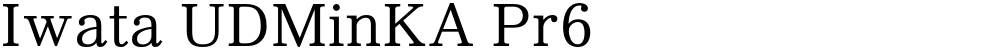 Iwata UDMinKA Pr6