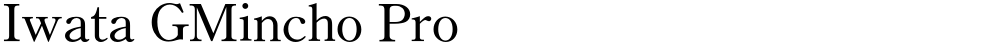 Iwata GMincho Pro