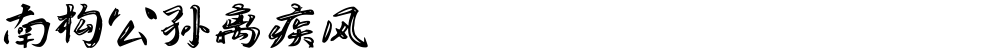 南构公孙离疾风