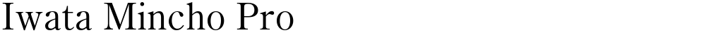 Iwata Mincho Pro